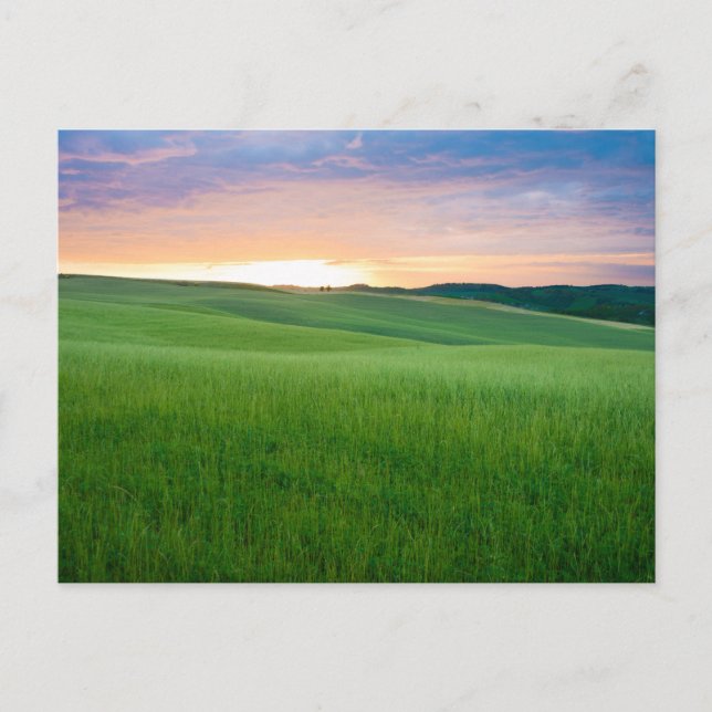 Sonnenuntergang in der Toskana Postkarte (Vorderseite)