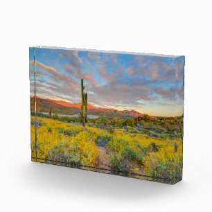 Sonnenuntergang in der Wüstenlandschaft Fotoblock