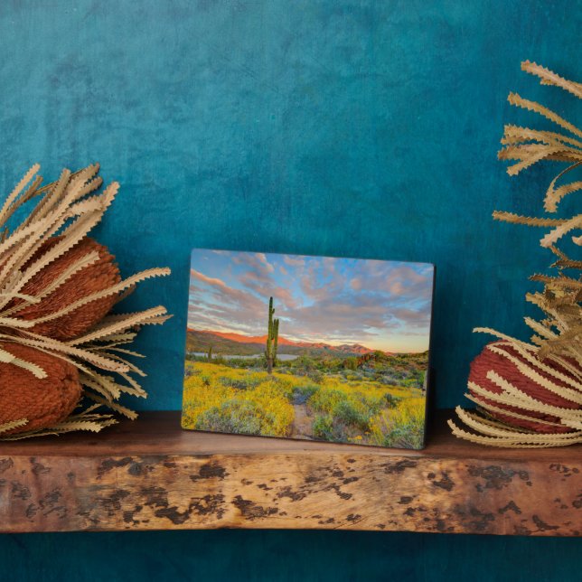 Sonnenuntergang in der Wüstenlandschaft Fotoplatte (Seite)