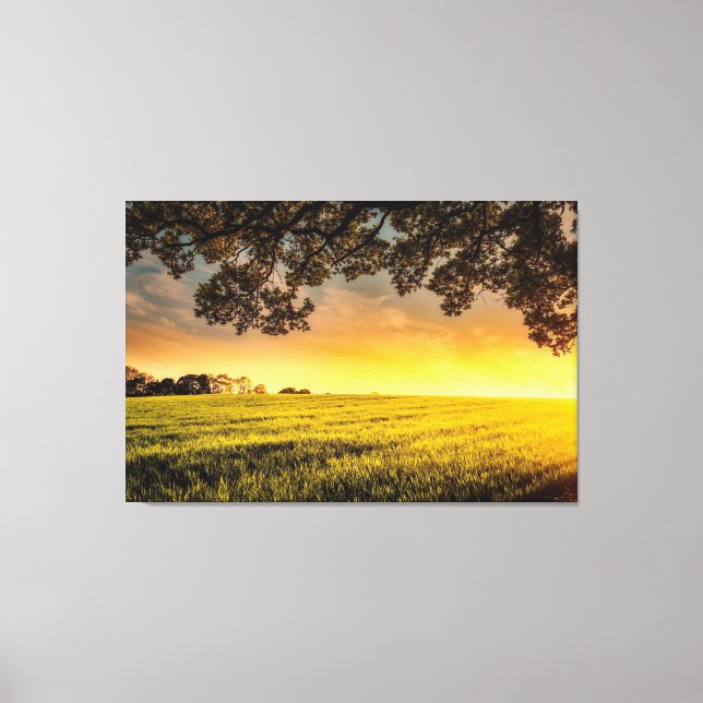 Sonnenuntergang in einer ländlichen Landschaft Leinwanddruck (Vorderseite)