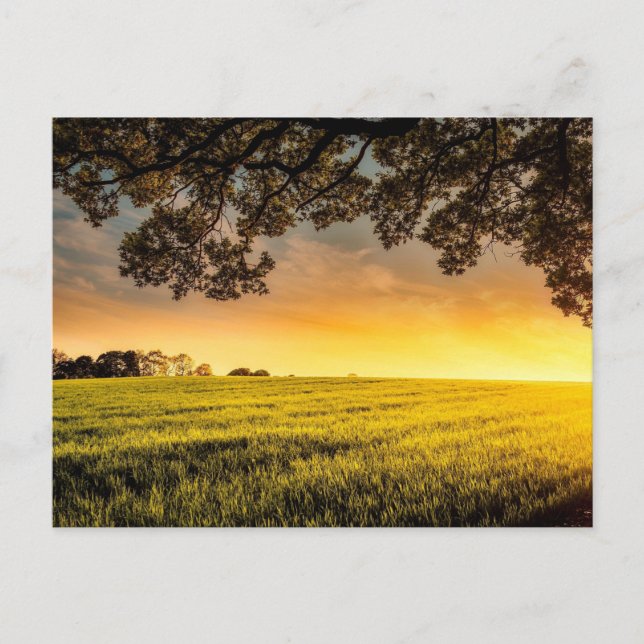 Sonnenuntergang in einer ländlichen Landschaft Postkarte (Vorderseite)
