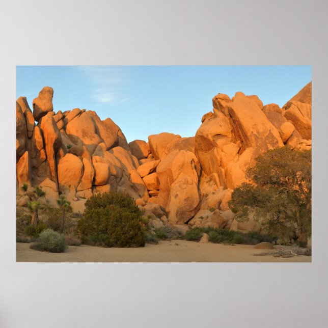 Sonnenuntergang in Joshua Tree Poster (Vorne)