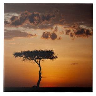 Sonnenuntergang in Masai Mara Fliese