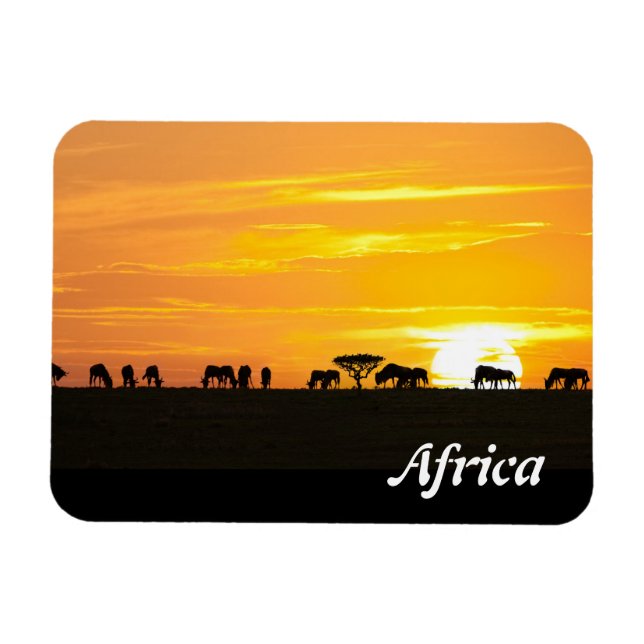 Sonnenuntergang in Serengeti Magnet (Horizontal)