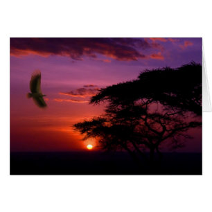 Sonnenuntergang in Serengeti, Tansania