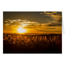 Sonnenuntergang in Südafrika