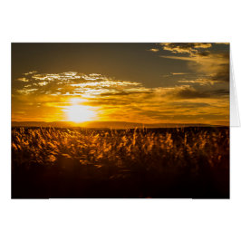 Sonnenuntergang in Südafrika