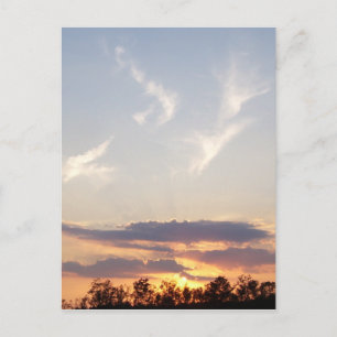 Sonnenuntergang in Tomball, Texas Postkarte