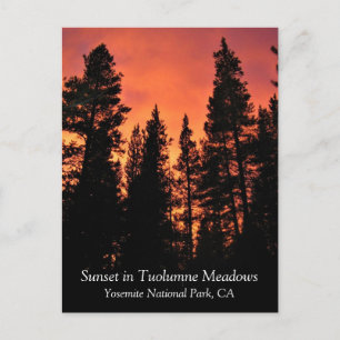 Sonnenuntergang in Tuolumne Meadows, Yosemite, CA Postkarte