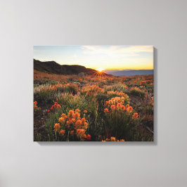 Sonnenuntergang in Wyoming Indian Paintbrush Mount Leinwanddruck