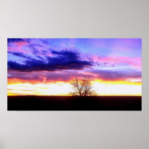 Sonnenuntergang jenseits des Baumes_ Poster