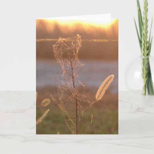 Sonnenuntergang Karte (Vorderseite)