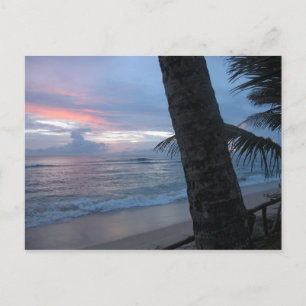 Sonnenuntergang mit Baum in Sri Lanka Postkarte
