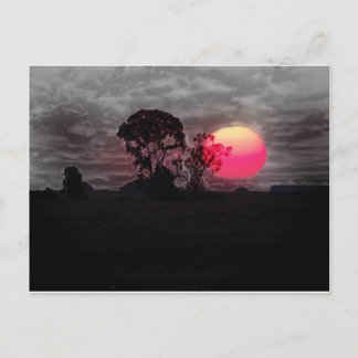 Sonnenuntergang mit Baum Postkarte