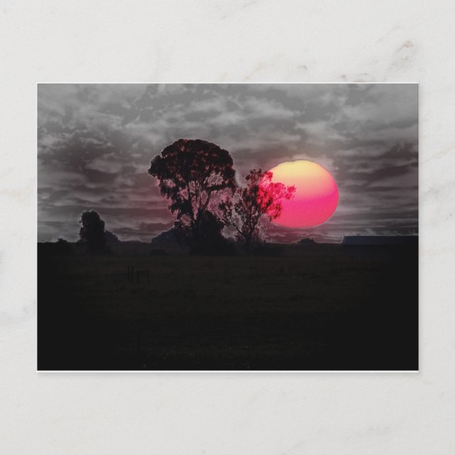 Sonnenuntergang mit Baum Postkarte (Vorderseite)