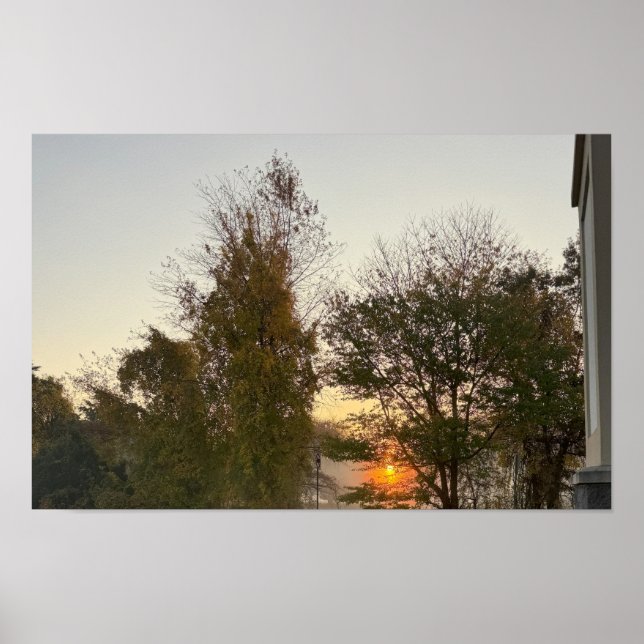 Sonnenuntergang mit Baumposter Poster (Vorne)