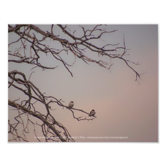 Sonnenuntergang mit den Shrikes Fotodruck (Vorne)