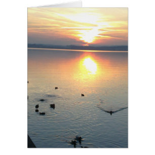 Sonnenuntergang mit Enten im See,Grusskarte,blanko