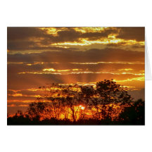 Sonnenuntergang mit goldenen Strahlen durch Bäume