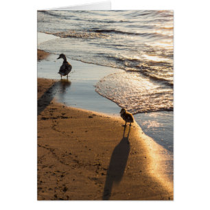 Sonnenuntergang mit Mami