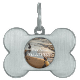 Sonnenuntergang mit Mommy Pet ID Tag Tiermarke