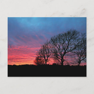 Sonnenuntergang mit rotem Himmel Postkarte