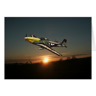 Sonnenuntergang-Mustang