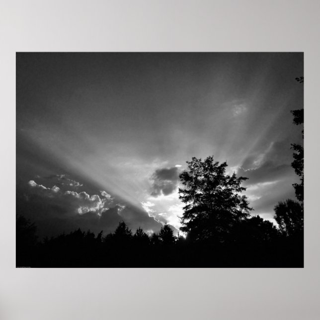 Sonnenuntergang/Noir, Poster (Vorne)