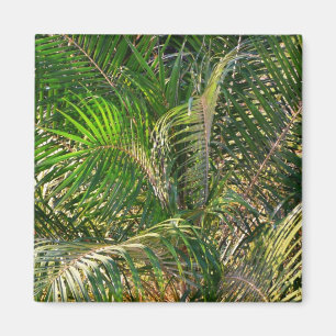 Sonnenuntergang Palm Fronds Tropical Magnet