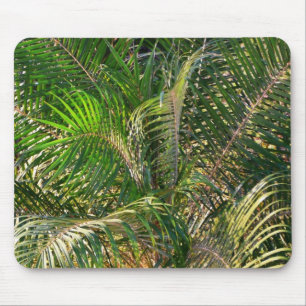 Sonnenuntergang Palm Fronds Tropical Mousepad