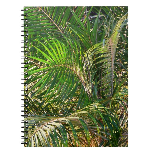 Sonnenuntergang Palm Fronds Tropical Notizblock (Vorderseite)