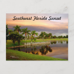 Sonnenuntergang Palm Seen Reflektion Florida Postc Postkarte