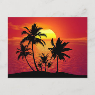 Sonnenuntergang Palmen Silhouette Design-65143 Postkarte