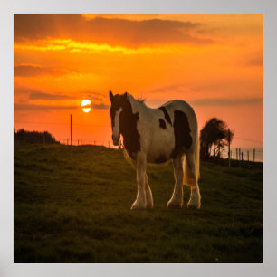 Sonnenuntergang Poster