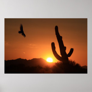 Sonnenuntergang Poster