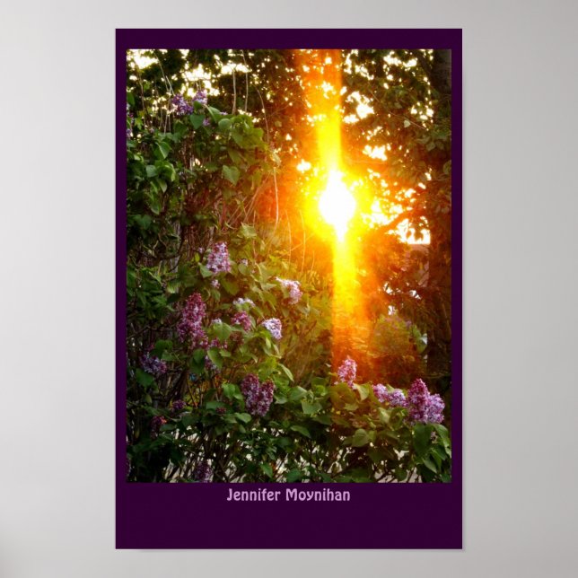 Sonnenuntergang Poster (Vorne)