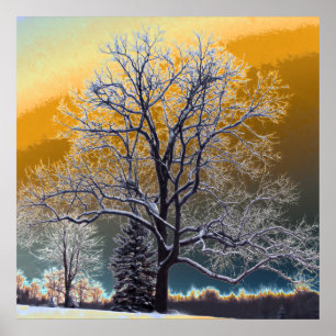 Sonnenuntergang Poster
