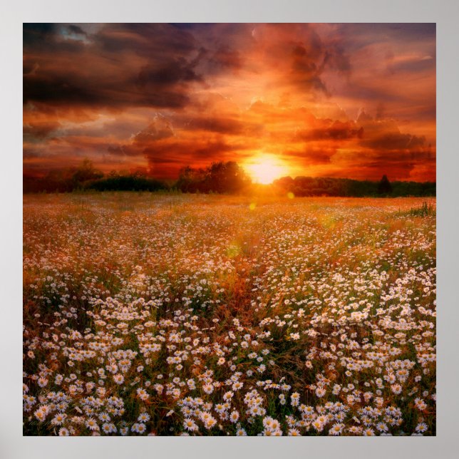 Sonnenuntergang Poster (Vorne)