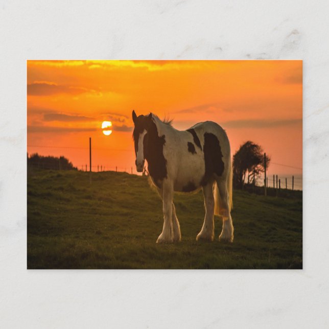 Sonnenuntergang Postkarte (Vorderseite)
