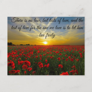 Sonnenuntergang Postkarte