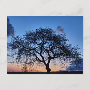 Sonnenuntergang Postkarte