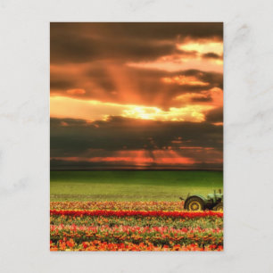 Sonnenuntergang Postkarte