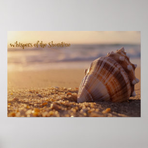 Sonnenuntergang: Seashell am Ufer Poster