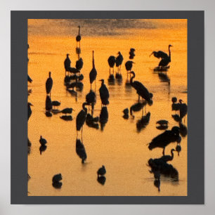 Sonnenuntergang-Silhouette des Vogelplakats Poster