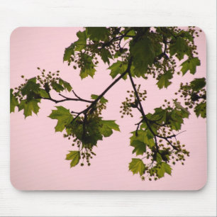 Sonnenuntergang-Silhouette Mousepad