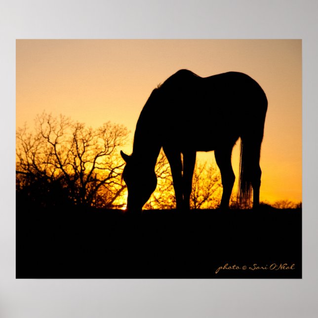 Sonnenuntergang Silhouette Poster (Vorne)