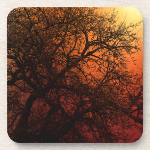 Sonnenuntergang Silhouette Winterbaum Getränkeuntersetzer