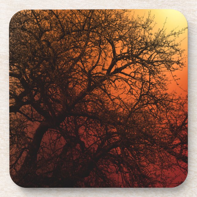 Sonnenuntergang Silhouette Winterbaum Getränkeuntersetzer (Vorderseite)