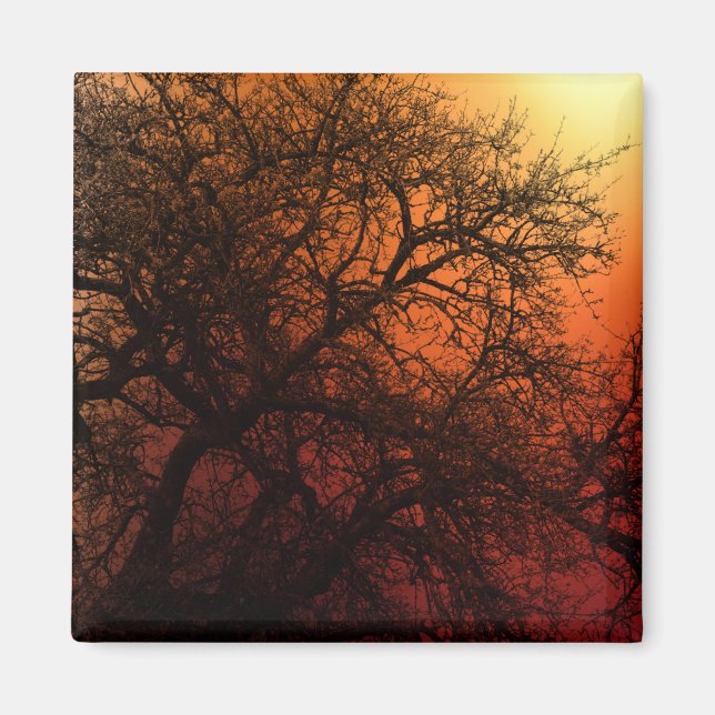 Sonnenuntergang Silhouette Winterbaum Magnet (Vorne)