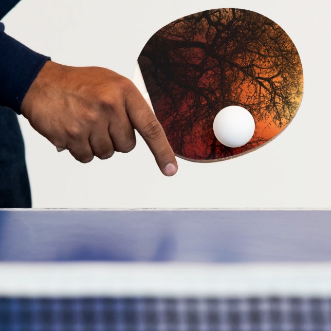 Sonnenuntergang Silhouette Winterbaum Tischtennis Schläger (InSitu)